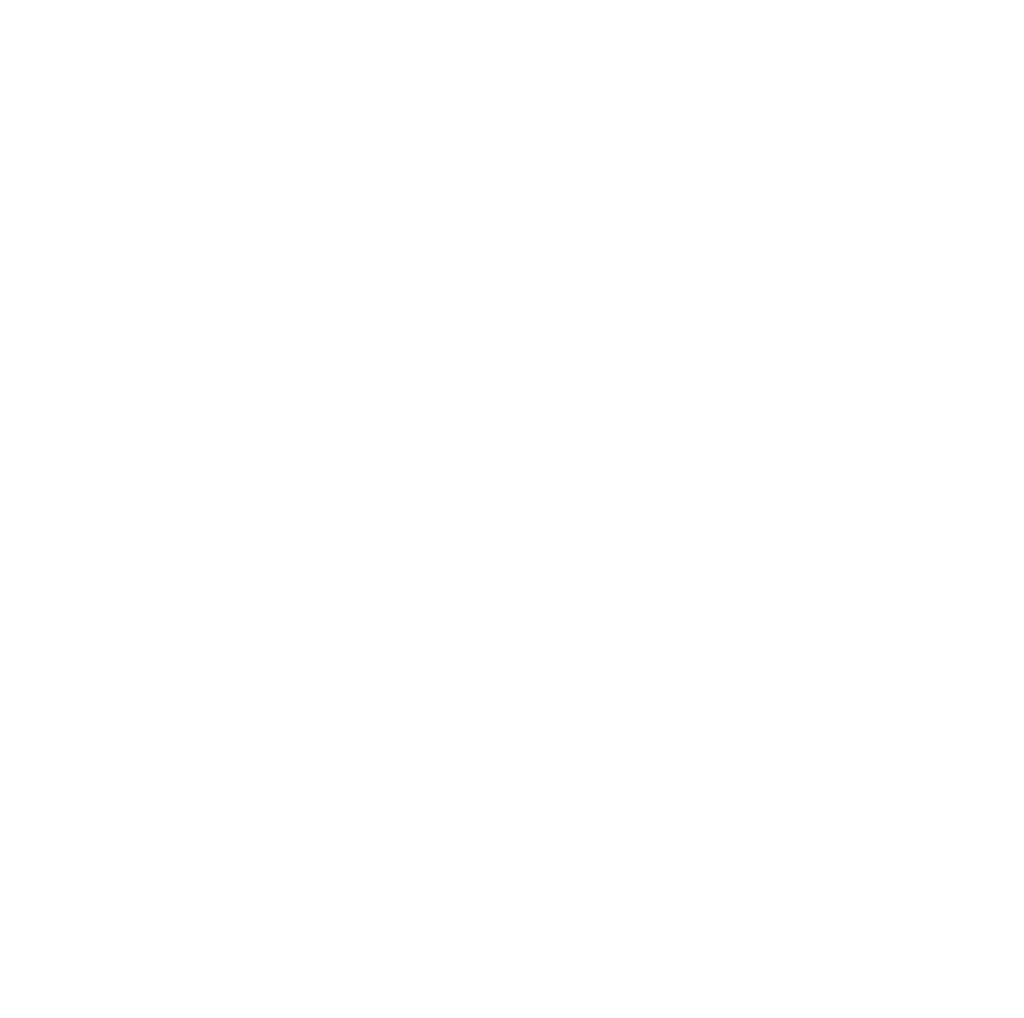 PINN Rehab logo